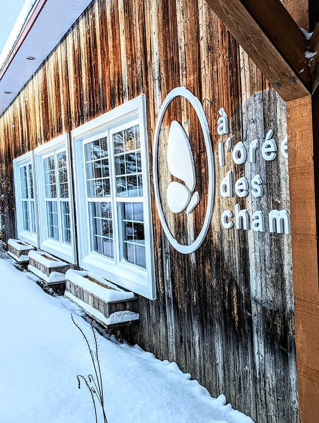 Philosophie et engagement environnemental